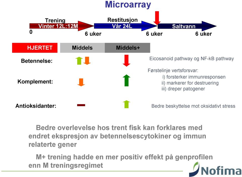 iii) dreper patogener Antioksidanter: Bedre beskyttelse mot oksidativt stress Bedre overlevelse hos trent fisk kan forklares med