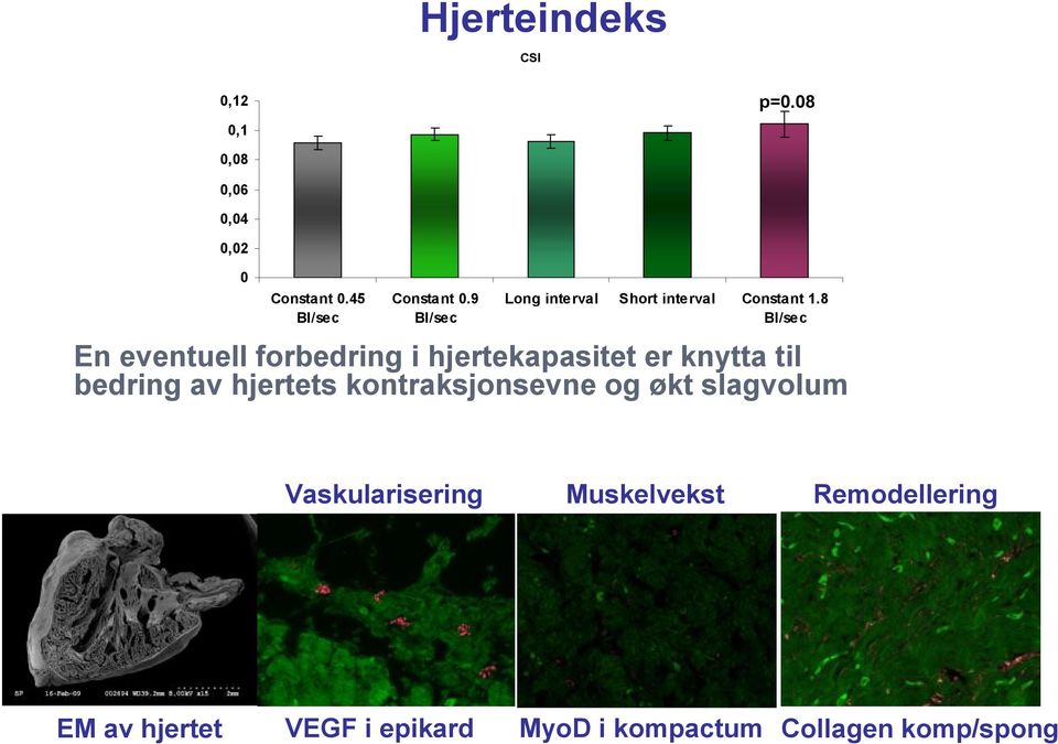 8 Bl/sec En eventuell forbedring i hjertekapasitet er knytta til bedring av hjertets