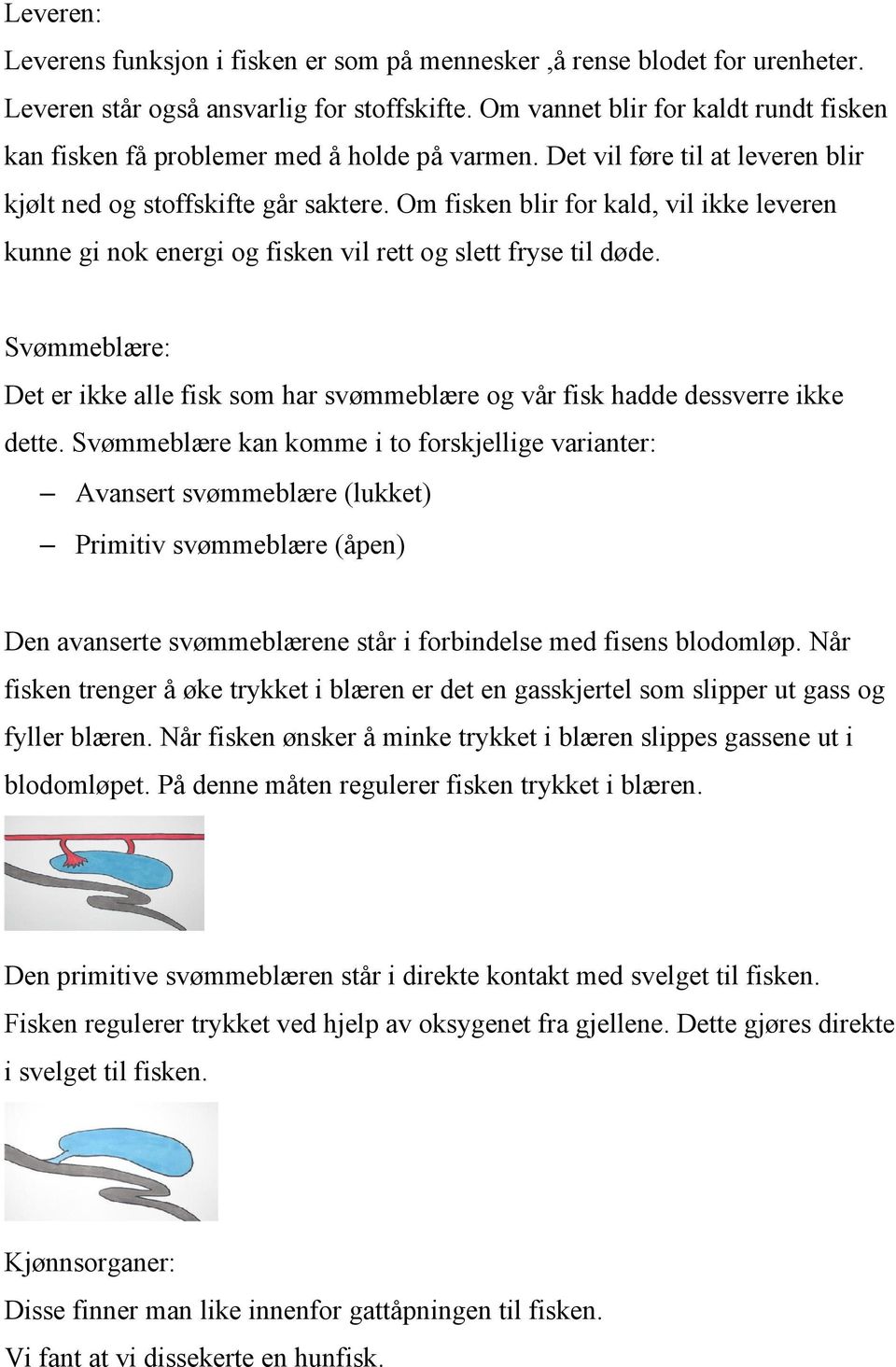 Om fisken blir for kald, vil ikke leveren kunne gi nok energi og fisken vil rett og slett fryse til døde. Svømmeblære: Det er ikke alle fisk som har svømmeblære og vår fisk hadde dessverre ikke dette.