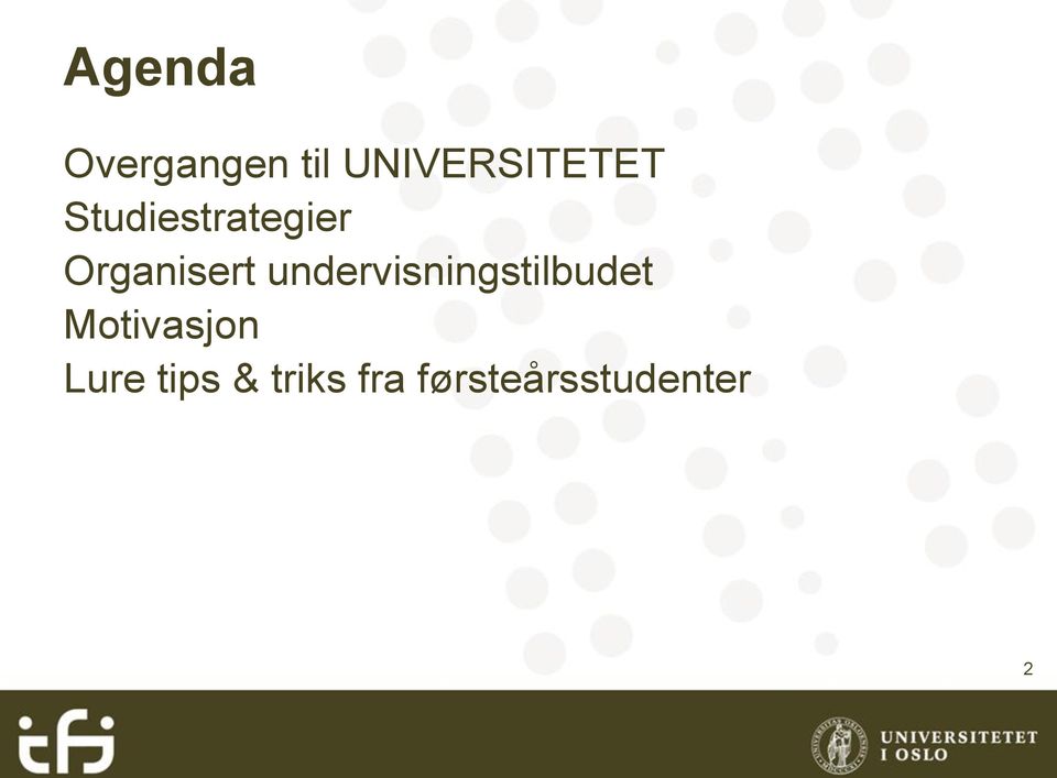 Organisert undervisningstilbudet