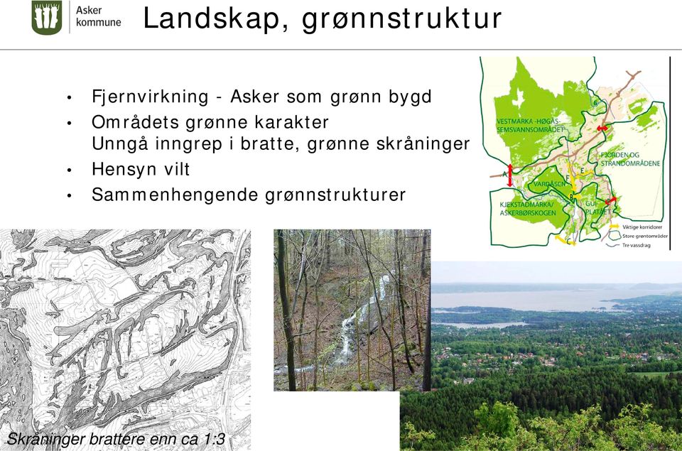 i bratte, grønne skråninger Hensyn vilt