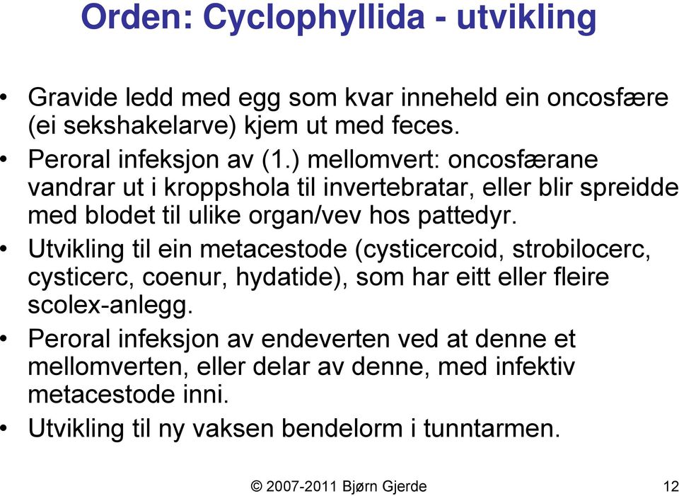 Utvikling til ein metacestode (cysticercoid, strobilocerc, cysticerc, coenur, hydatide), som har eitt eller fleire scolex-anlegg.
