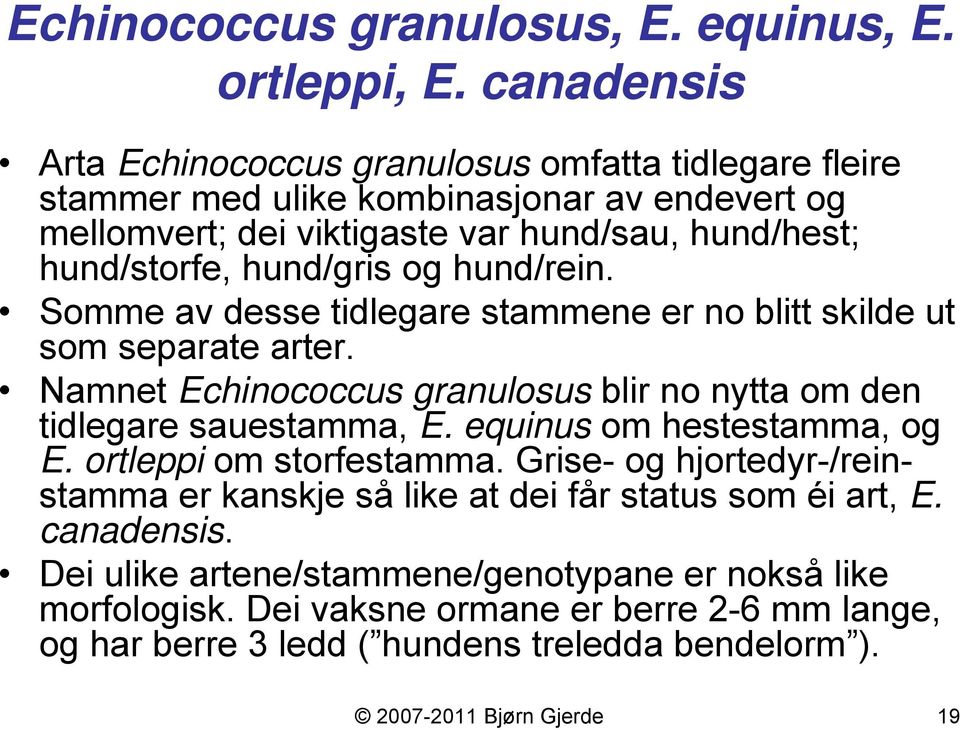 hund/gris og hund/rein. Somme av desse tidlegare stammene er no blitt skilde ut som separate arter. Namnet Echinococcus granulosus blir no nytta om den tidlegare sauestamma, E.