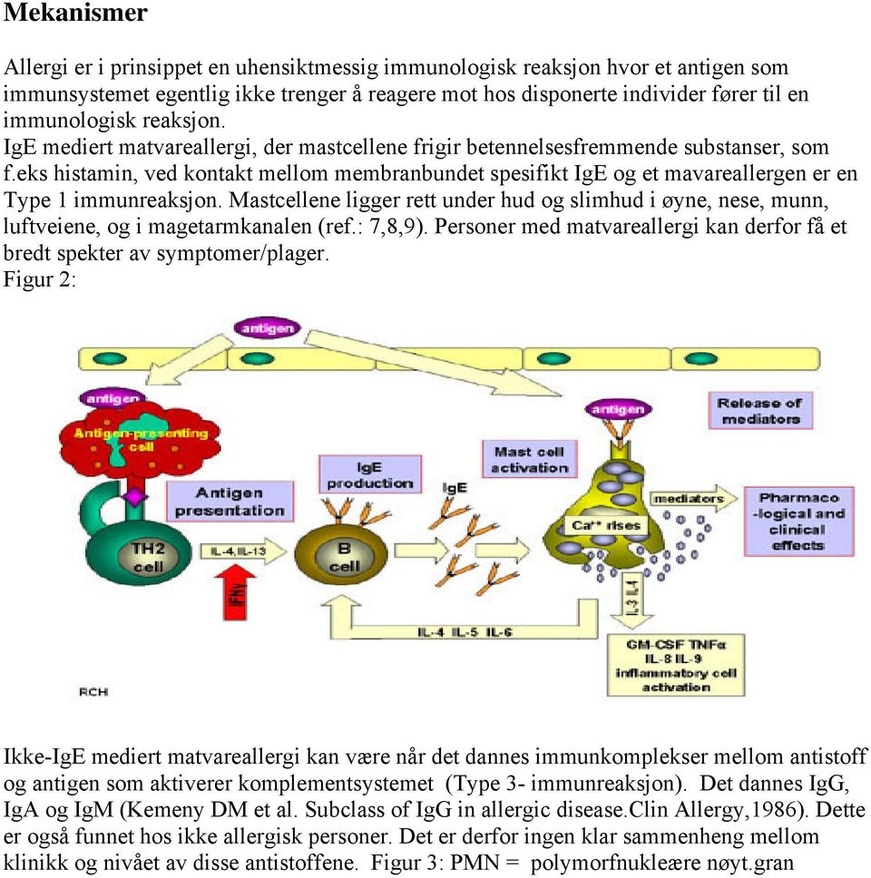 eks histamin, ved kontakt mellom membranbundet spesifikt IgE og et mavareallergen er en Type 1 immunreaksjon.