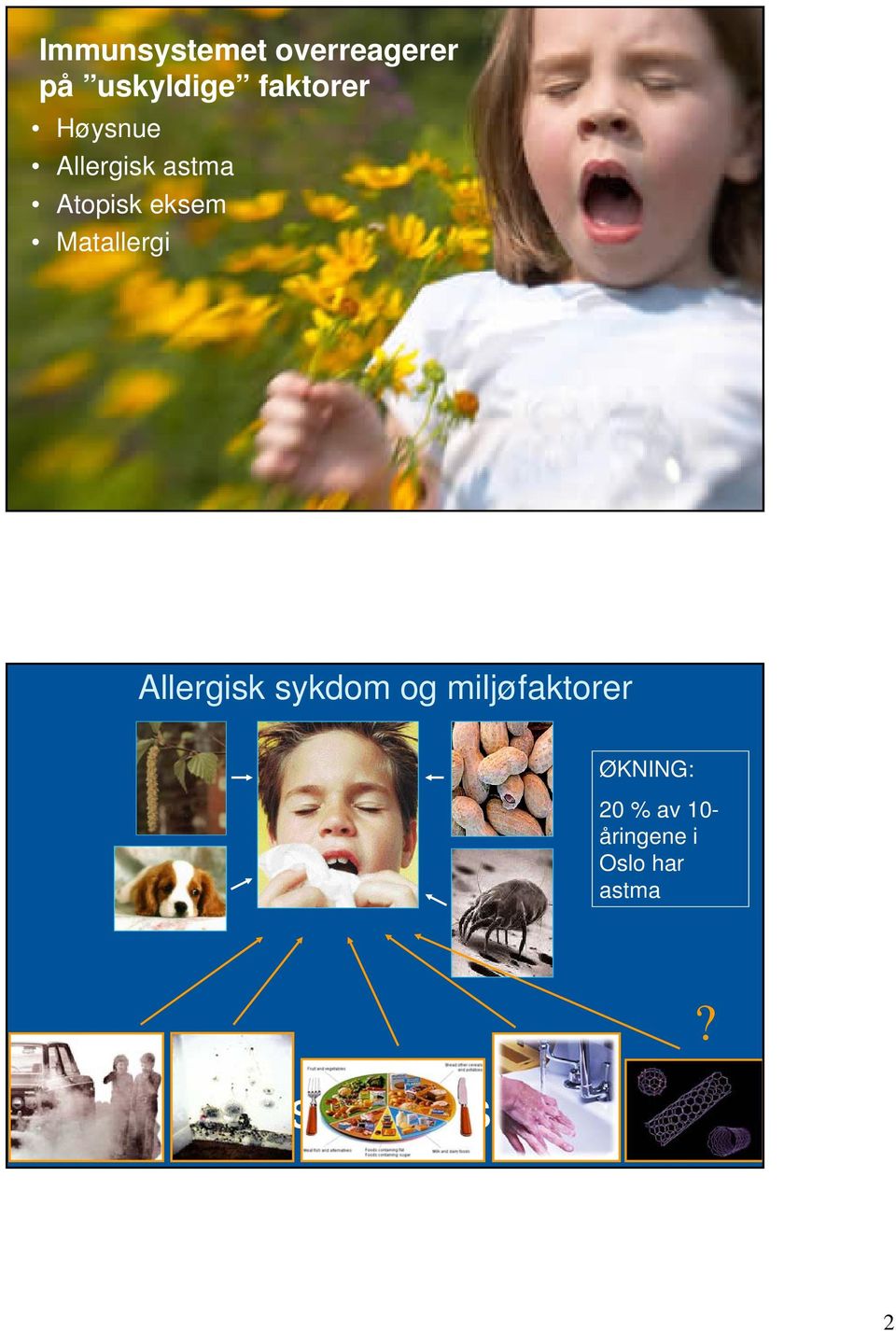 Allergisk sykdom og miljøfaktorer ØKNING: 20 % av