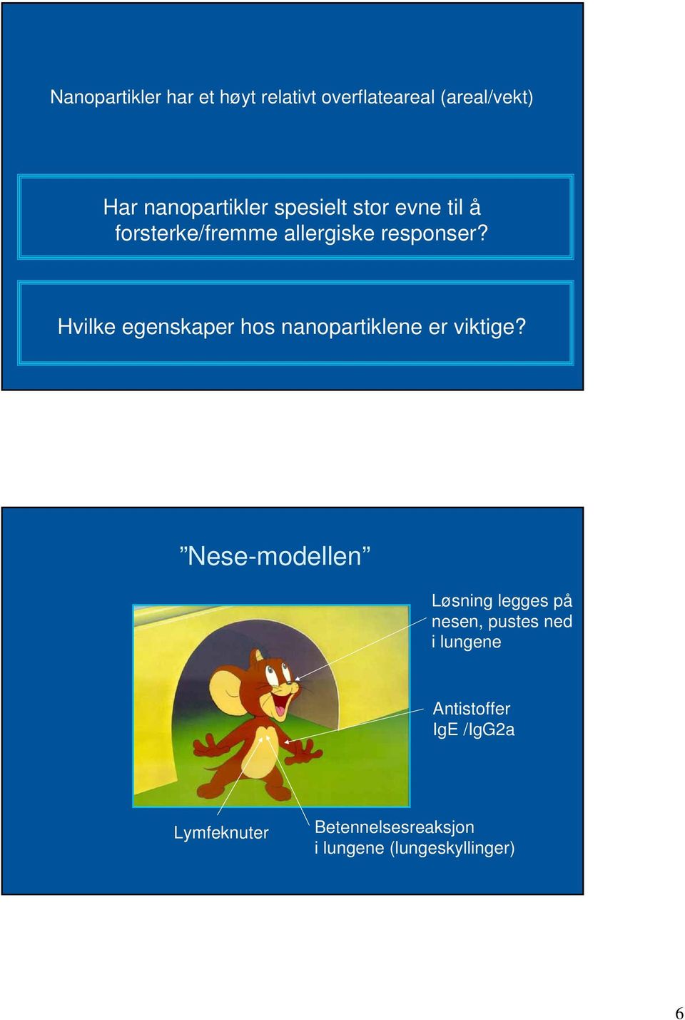 Hvilke egenskaper hos nanopartiklene er viktige?