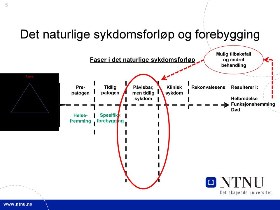 på et tidlig stadium hvor behandling er mer effektiv Klinisk sykdom Rekonvalesens Begrensing Tertiær forebygging Rehabilitering Av