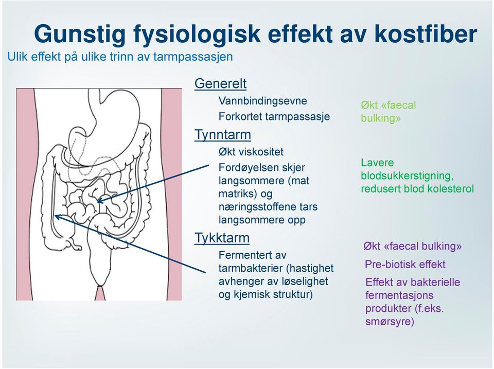 Tykktarm Fermentert av tarmbakterier (hastighet avhenger av løselighet og kjemisk struktur) Økt «faecal bulking» Lavere