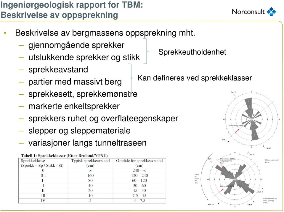 gjennomgående sprekker utslukkende sprekker og stikk sprekkeavstand partier med massivt berg