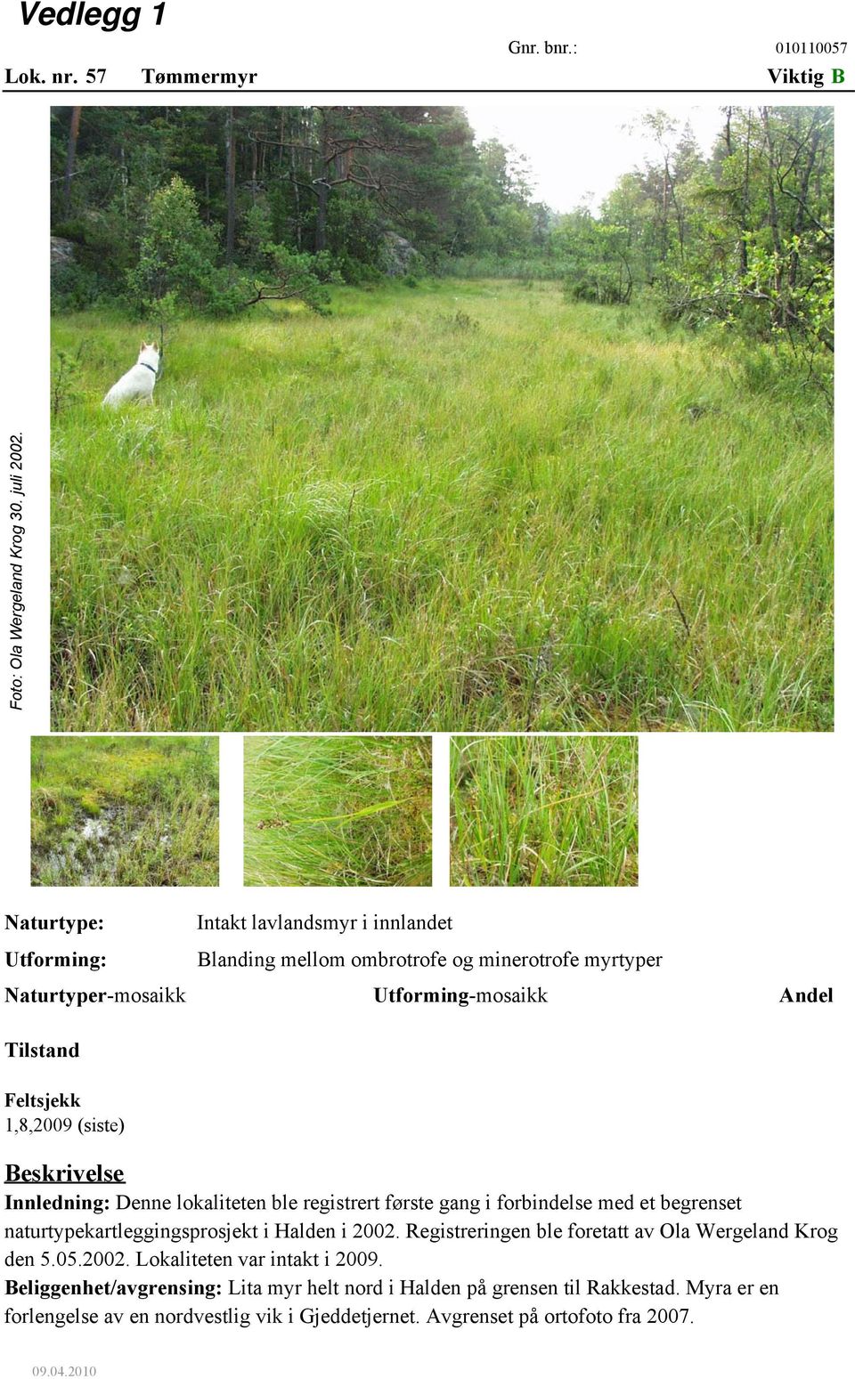 Feltsjekk 1,8,2009 (siste) Intakt lavlandsmyr i innlandet Blanding mellom ombrotrofe og minerotrofe myrtyper Naturtyper-mosaikk Utforming-mosaikk Andel Beskrivelse Innledning: Denne