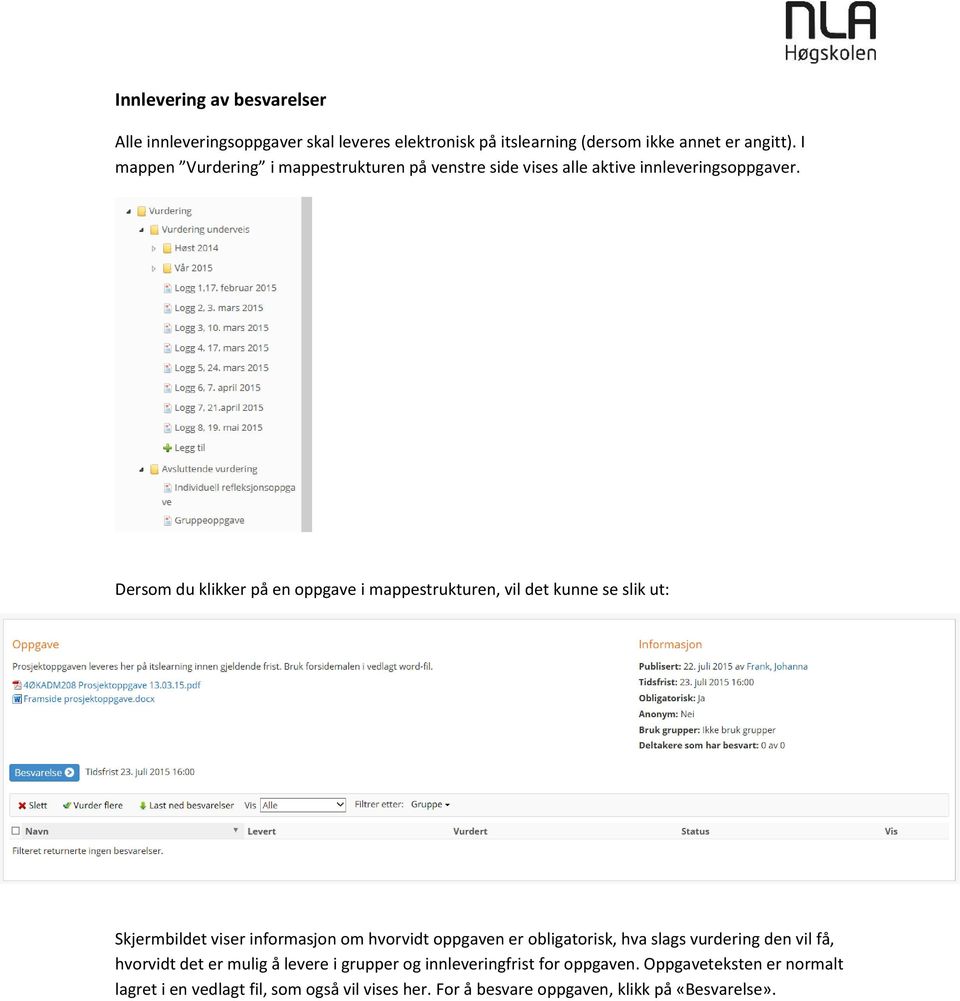 Dersom du klikker på en oppgave i mappestrukturen, vil det kunne se slik ut: Skjermbildet viser informasjon om hvorvidt oppgaven er obligatorisk,