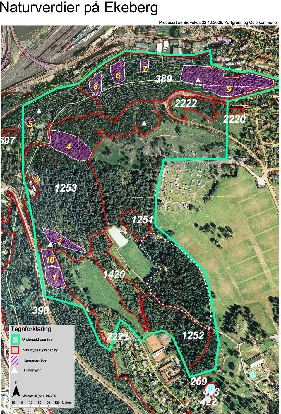 1 1420 1251 390 Tegnforklaring Undersøkt område Naturtypeavgrensning