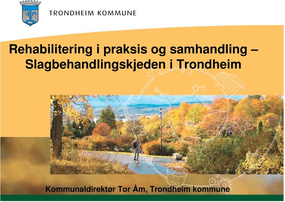 Slagbehandlingskjeden i