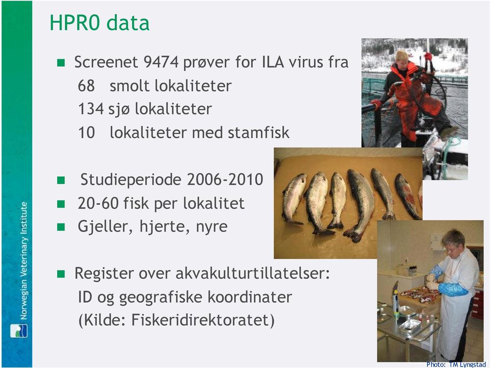 lokalitet Gjeller, hjerte, nyre Register over akvakulturtillatelser: ID og