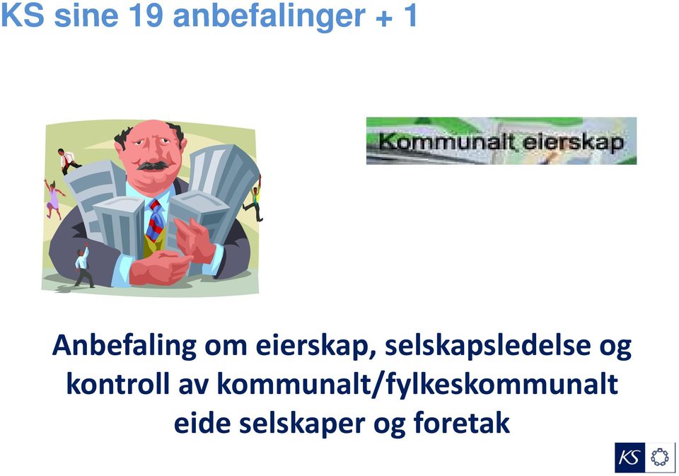 selskapsledelse og kontroll av