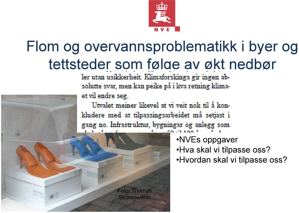 Pedersen NVEs oppgaver Hva skal vi tilpasse oss?