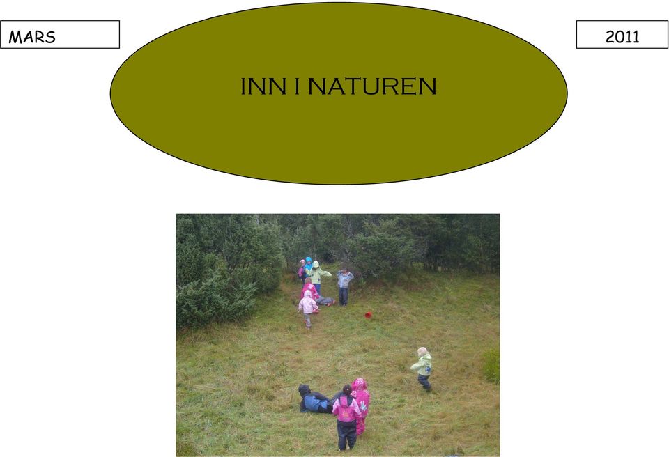 NATUREN