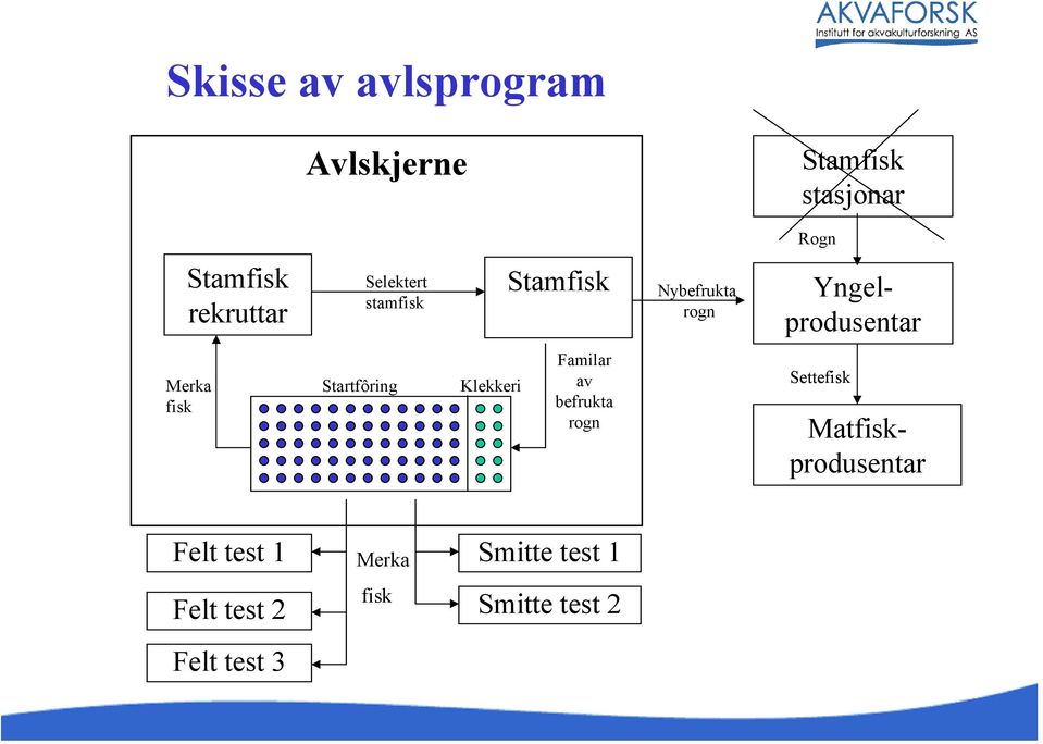 Merka fisk Startfôring Klekkeri Familar av befrukta rogn Settefisk