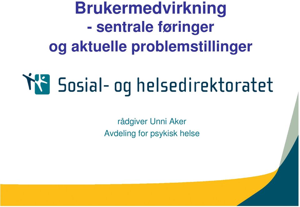 problemstillinger rådgiver