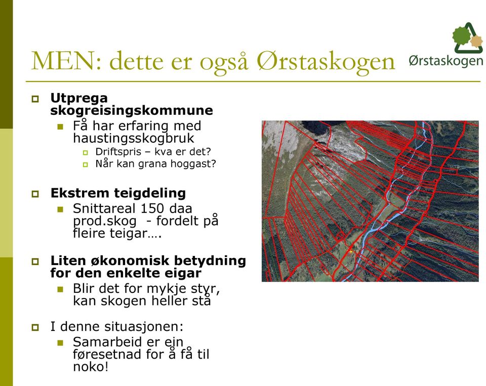 Ekstrem teigdeling Snittareal 150 daa prod.skog - fordelt på fleire teigar.