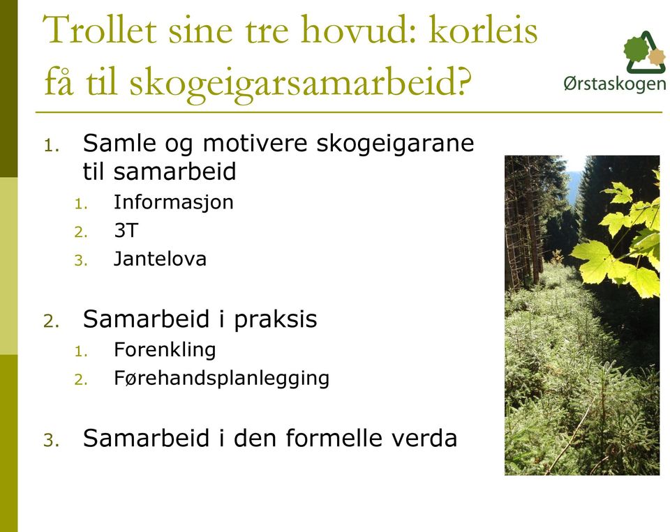 Informasjon 2. 3T 3. Jantelova 2. Samarbeid i praksis 1.