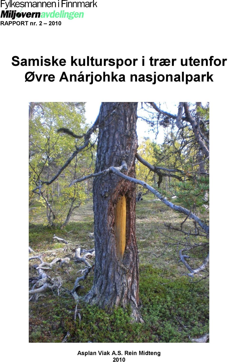 trær utenfor Øvre Anárjohka