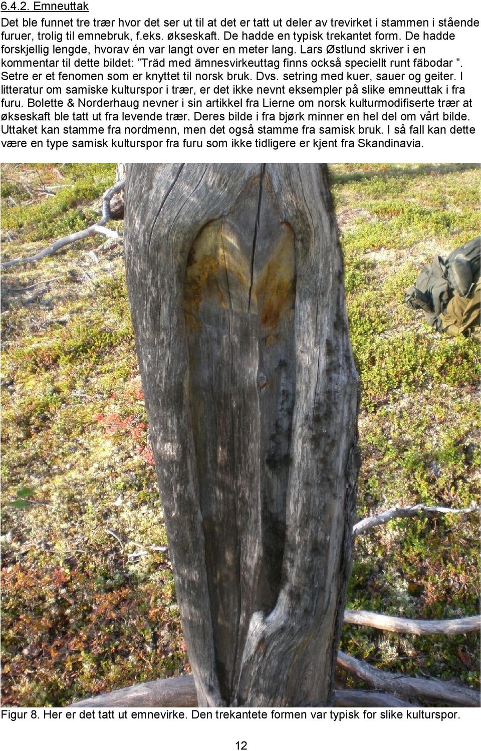Setre er et fenomen som er knyttet til norsk bruk. Dvs. setring med kuer, sauer og geiter. I litteratur om samiske kulturspor i trær, er det ikke nevnt eksempler på slike emneuttak i fra furu.