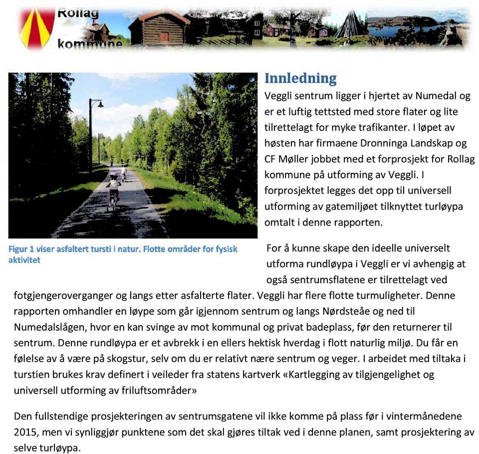 I løpet av høsten har firmaene Dronninga Landskap og CF Møller jobbet med et forprosjekt for Rollag kommune på utforming av Veg gli.