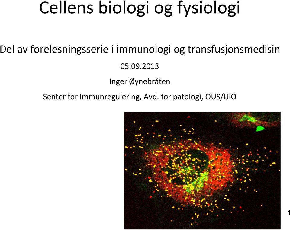 transfusjonsmedisin 05.09.