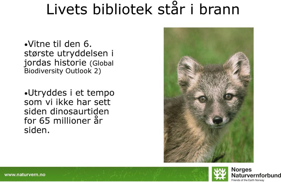 Biodiversity Outlook 2) Utryddes i et tempo som vi