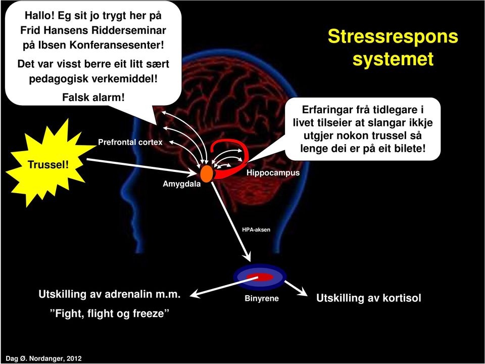 Prefrontal cortex Amygdala Hippocampus Stressrespons systemet Erfaringar frå tidlegare i livet tilseier at