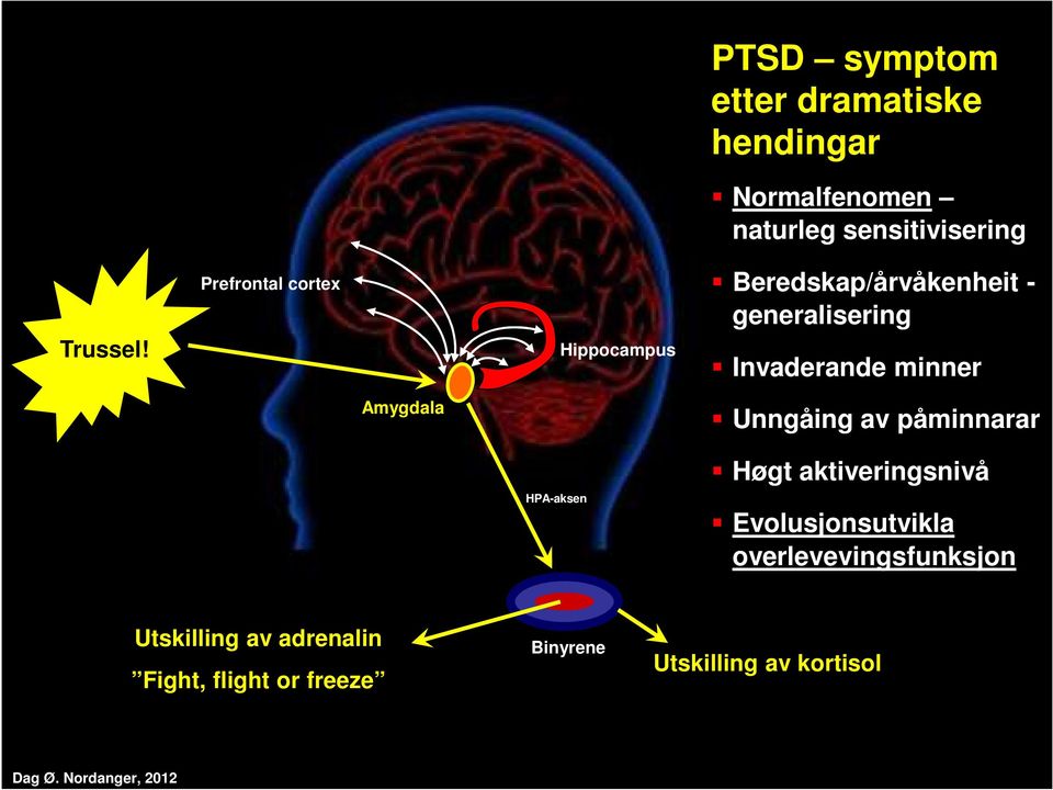 Amygdala Unngåing av påminnarar HPA-aksen Høgt aktiveringsnivå Evolusjonsutvikla