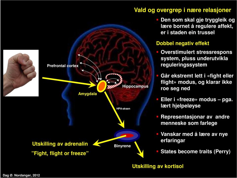 underutvikla reguleringssystem Går ekstremt lett i «fight eller flight» modus, og klarar ikke roe seg ned Eller i «freeze» modus pga.