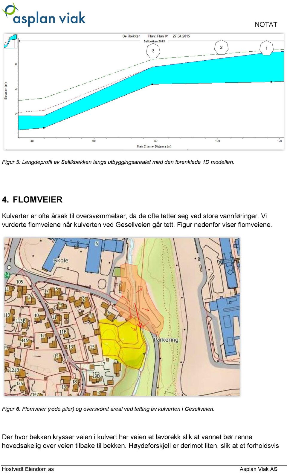 Vi vurderte flomveiene når kulverten ved Gesellveien går tett. Figur nedenfor viser flomveiene.