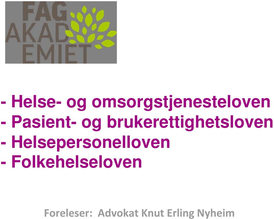 Helsepersonelloven -