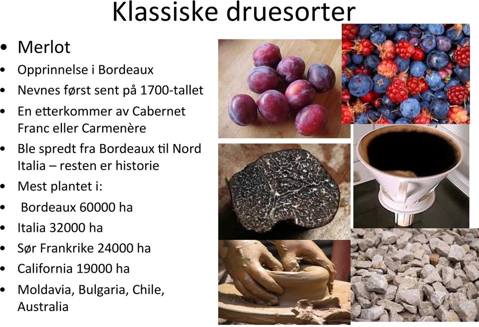 er historie Mest plantet i: Bordeaux 60000 ha Italia 32000 ha Sør Frankrike