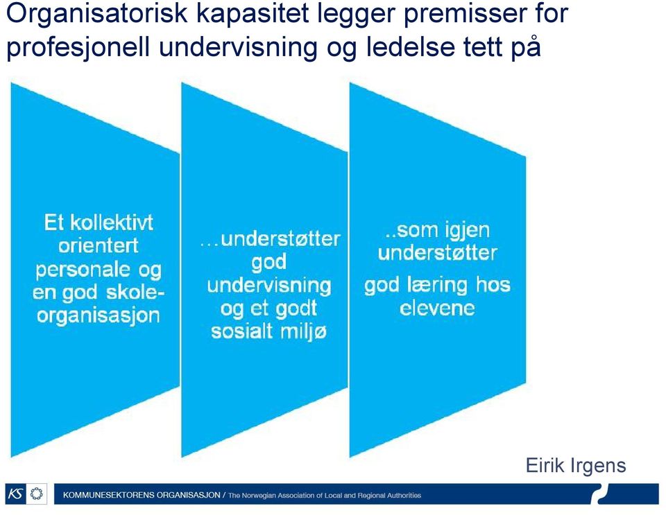 profesjonell undervisning