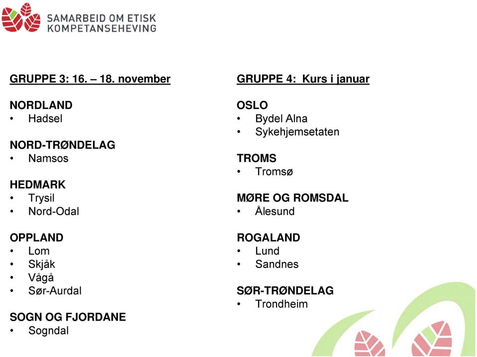 OPPLAND Lom Skjåk Vågå Sør-Aurdal SOGN OG FJORDANE Sogndal GRUPPE 4: