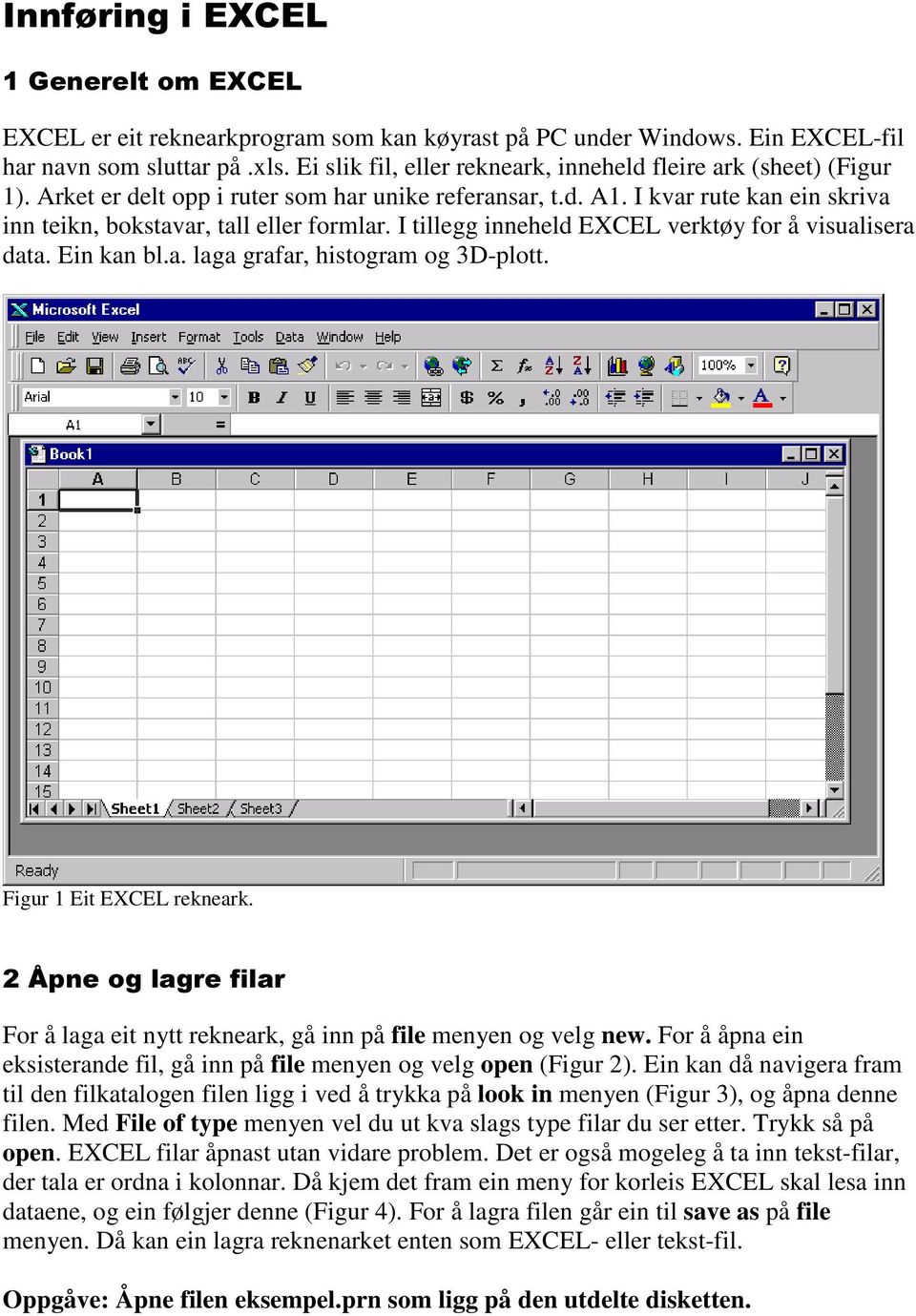 Figur 1 Eit EXCEL rekneark. For å laga eit nytt rekneark, gå inn på file menyen og velg new. For å åpna ein eksisterande fil, gå inn på file menyen og velg open (Figur 2).