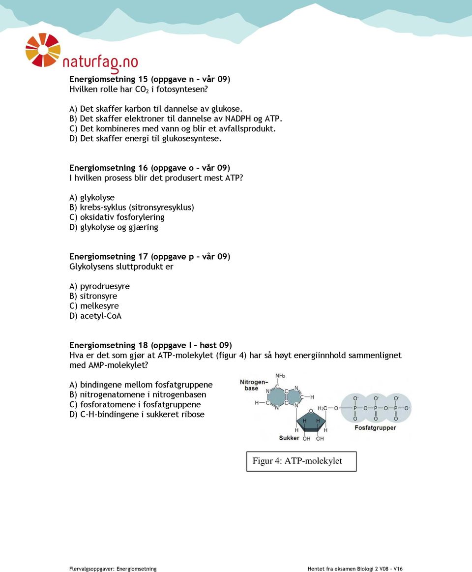 A) glykolyse B) krebs-syklus (sitronsyresyklus) C) oksidativ fosforylering D) glykolyse og gjæring Energiomsetning 17 (oppgave p vår 09) Glykolysens sluttprodukt er A) pyrodruesyre B) sitronsyre C)