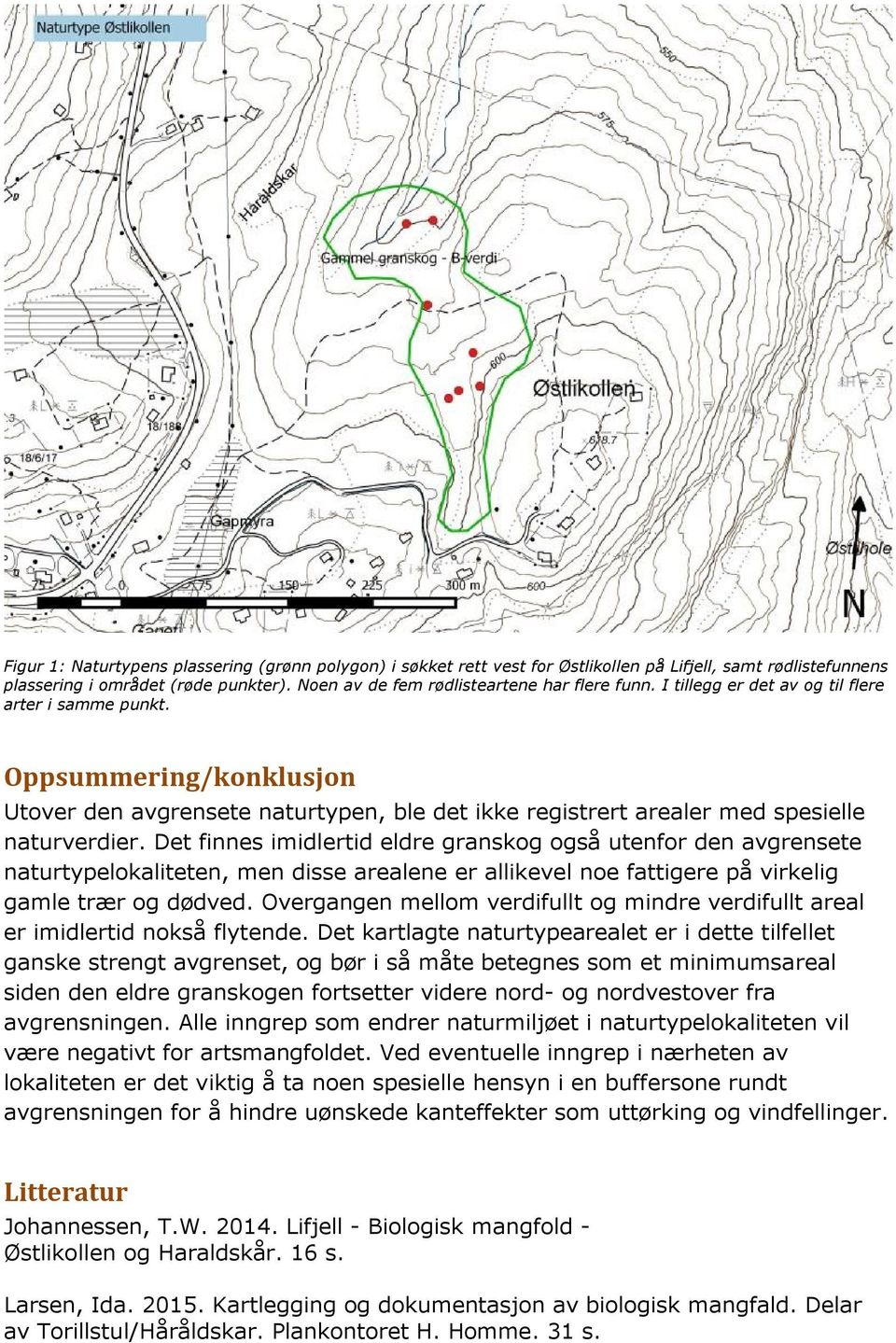 Det finnes imidlertid eldre granskog også utenfor den avgrensete naturtypelokaliteten, men disse arealene er allikevel noe fattigere på virkelig gamle trær og dødved.