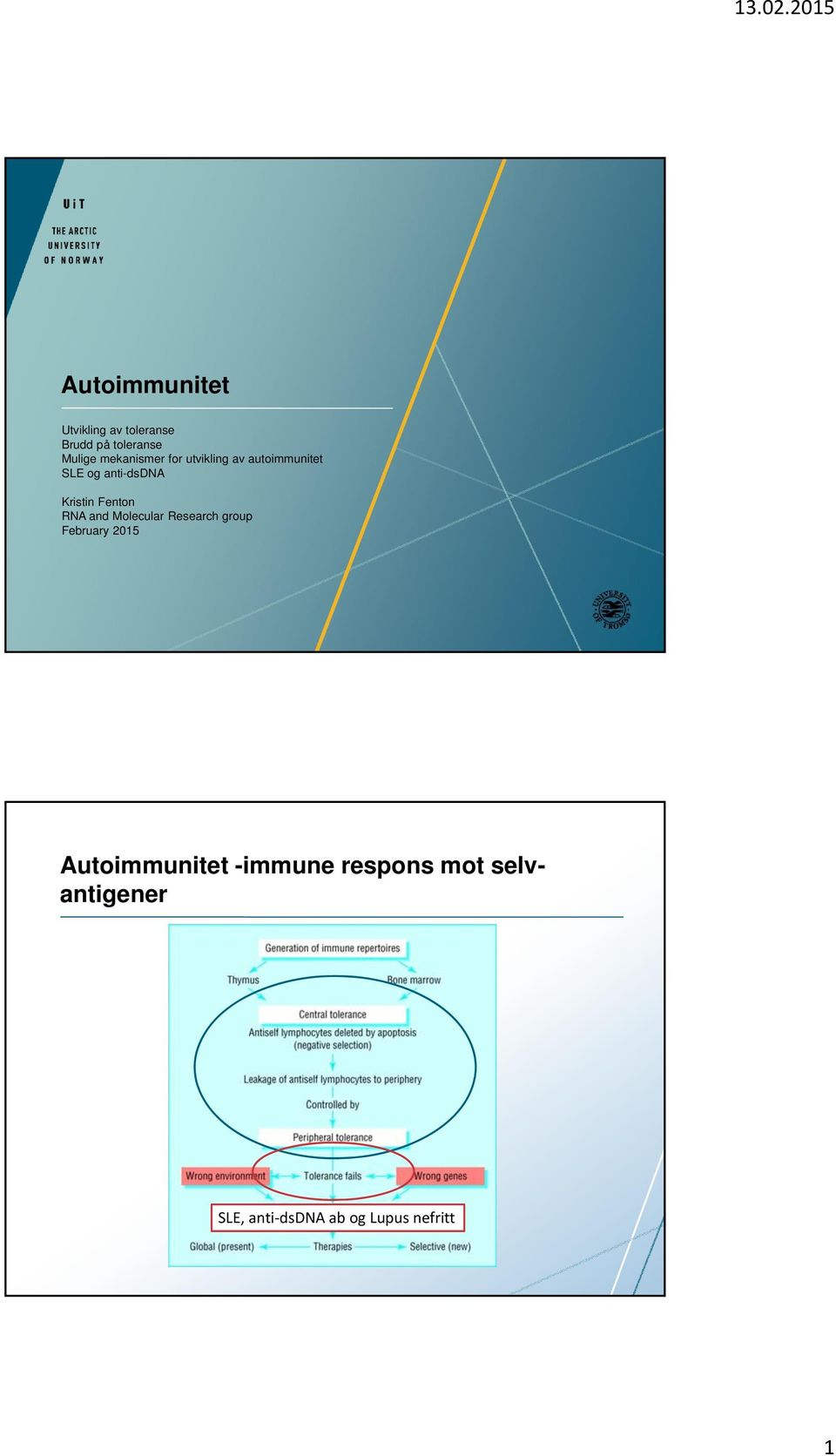 Fenton RNA and Molecular Research group February 2015 Autoimmunitet