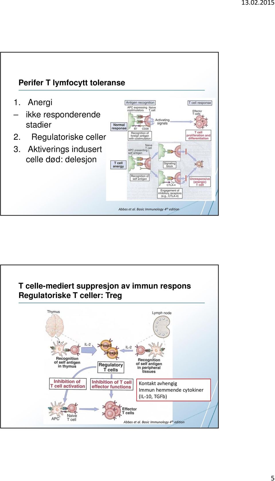 Basic Immunology 4 th edition T celle-mediert suppresjon av immun respons Regulatoriske