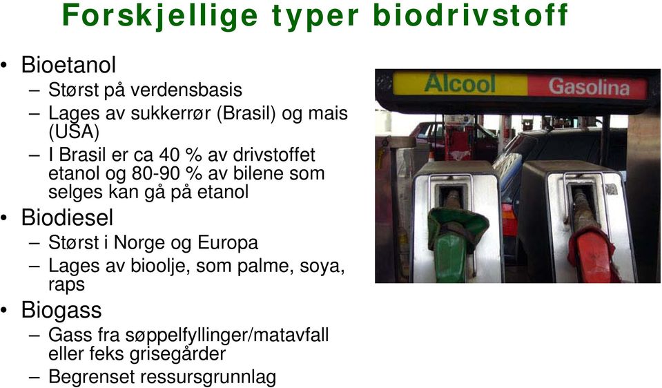 selges kan gå på etanol Biodiesel Størst i Norge og Europa Lages av bioolje, som palme,