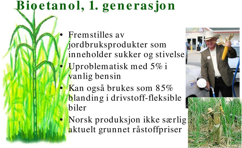 sukker og stivelse Uproblematisk med 5% i vanlig bensin Kan