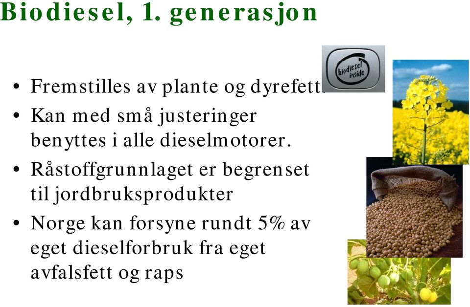 Råstoffgrunnlaget er begrenset til jordbruksprodukter Norge