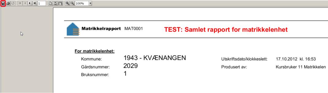 Merk linja (den blir blå) og klikk på Hent rapport. Lagre rapporten på egen PC.