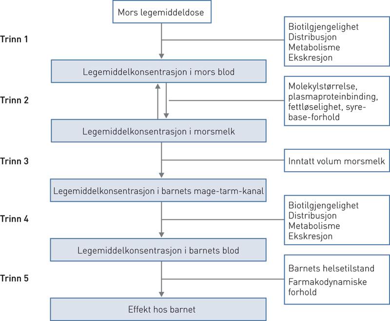 Figur 1 Brysternærte barns eksponering for