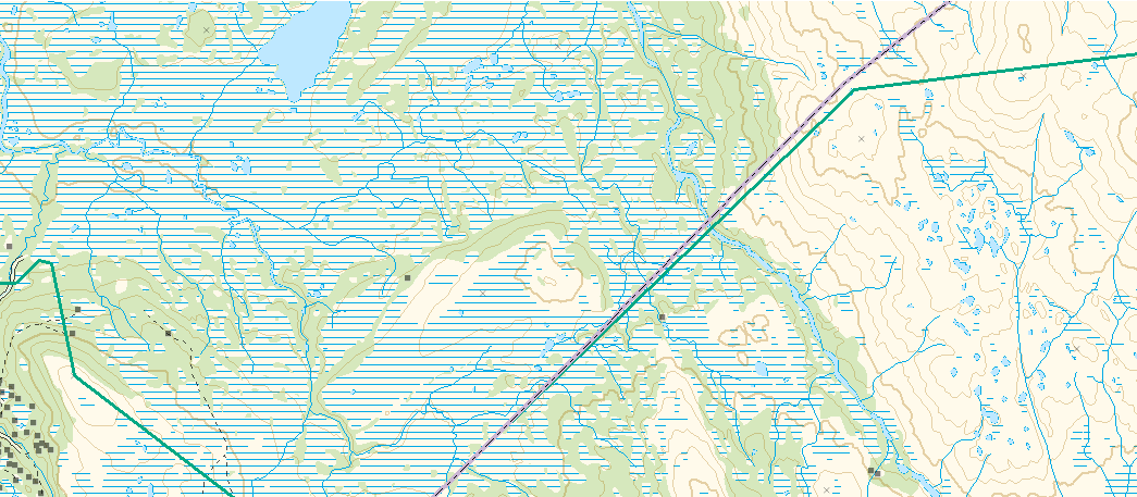 Hoås statsallmenning (Verdal, Nord-Trøndelag). Areal 37.