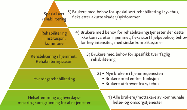 Rehabiliteringspyramiden Fra